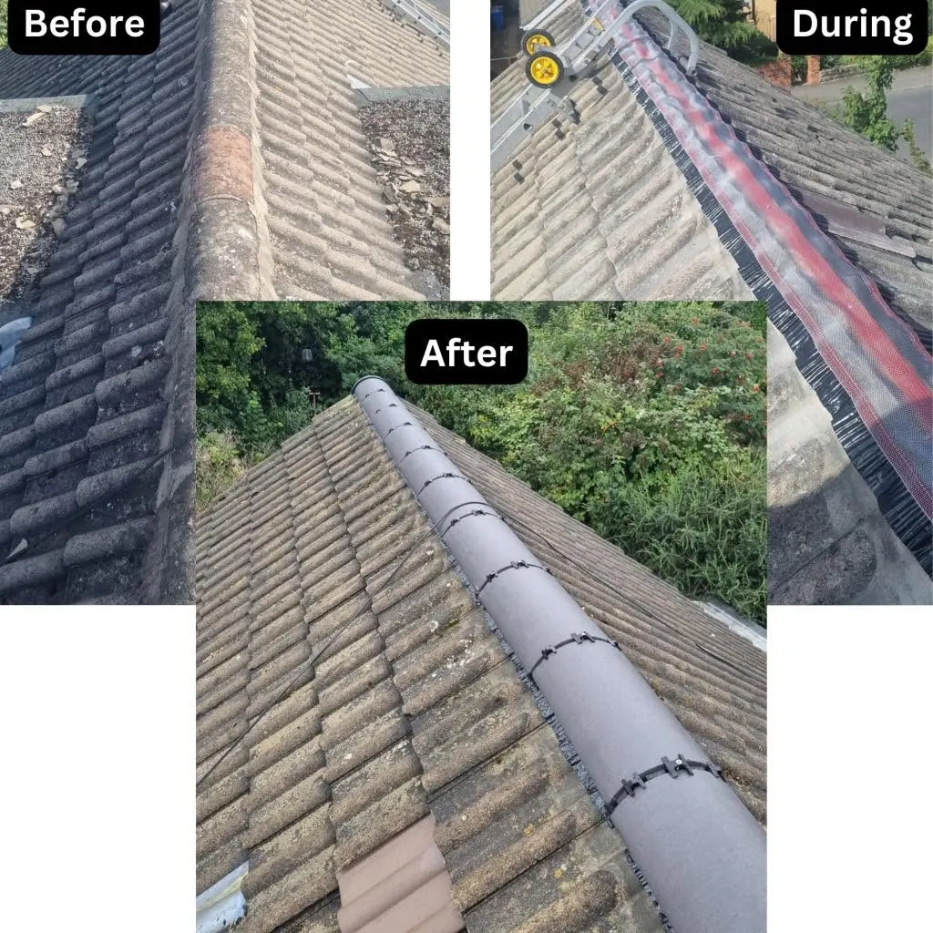 Ridge repair, before, during and after